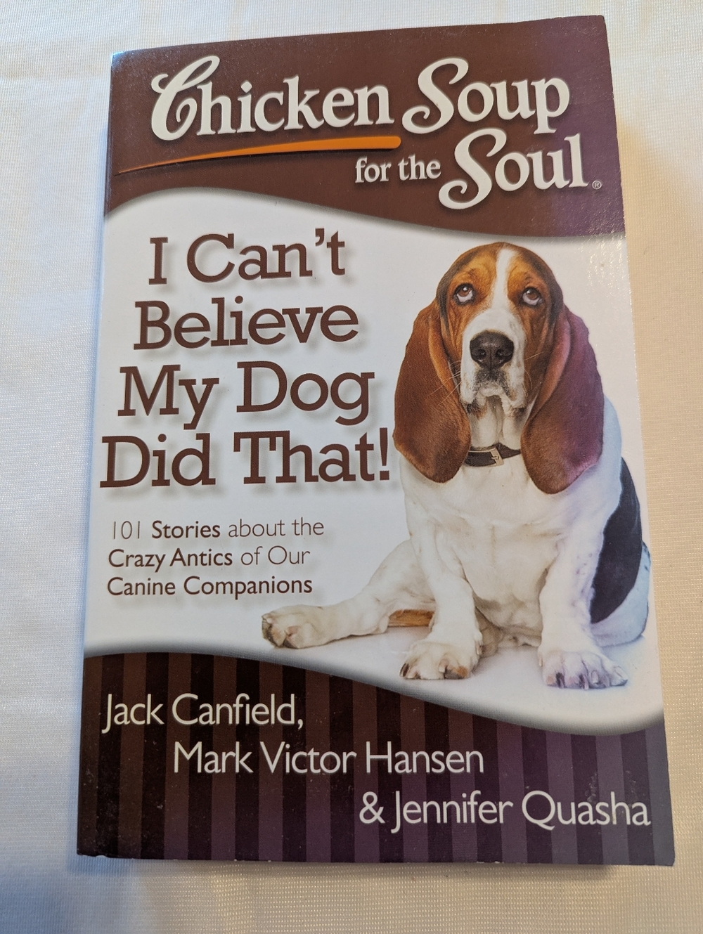 Chicken Soup For The Soul I Can't Believe My Dog Did That! Book